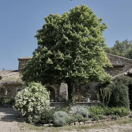 La Cour Du Marronnier Maison d'hôtes