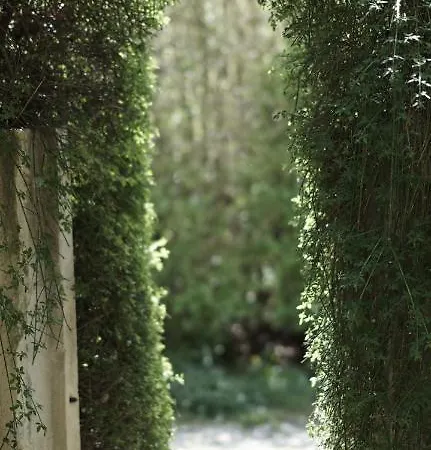 Maison d'hôtes La Cour Du Marronnier