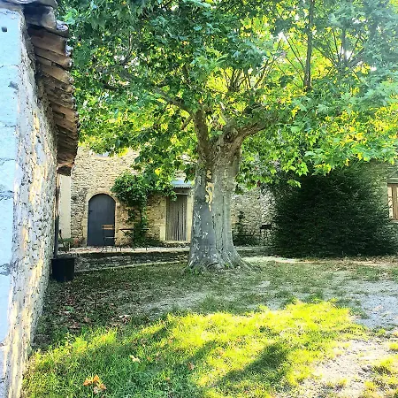 La Cour Du Marronnier