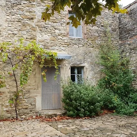 La Cour Du Marronnier